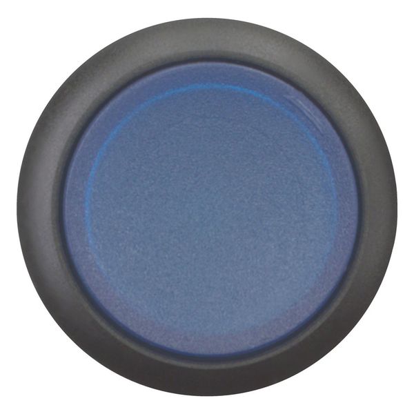 Illuminated pushbutton actuator, RMQ-Titan, Extended, momentary, Blue, Blank, Bezel: black image 9