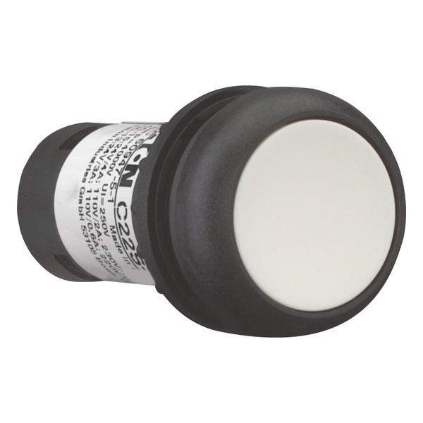 Pushbutton, Flat, maintained, 1 N/O, Screw connection, White, Blank, Bezel: black image 11