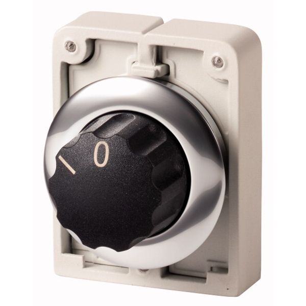 Changeover switch, RMQ-Titan, With rotary head, momentary, 2 positions, inscribed, Metal bezel image 1