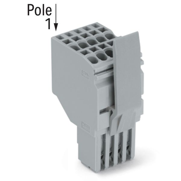2-conductor female connector Push-in CAGE CLAMP® 1.5 mm² gray image 2