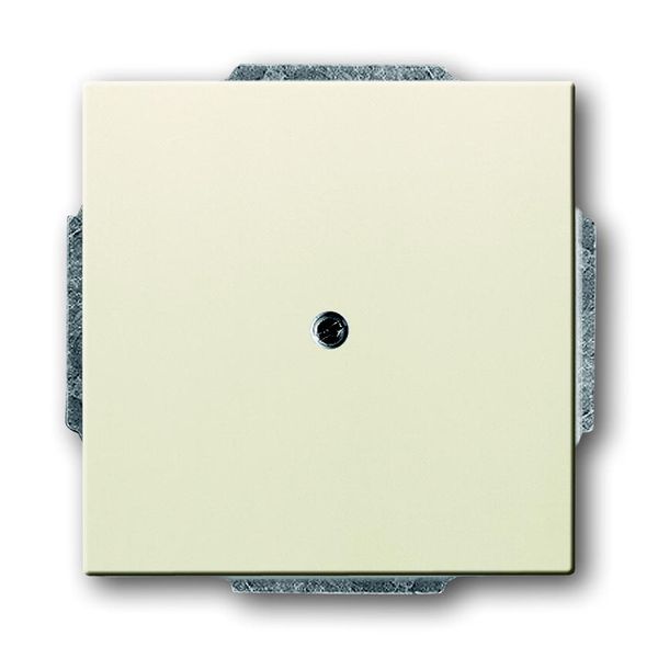 1749-82 CoverPlates (partly incl. Insert) future®, solo®; carat®; Busch-dynasty® ivory white image 1