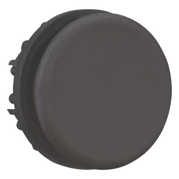 Blanking plug, black, large packaging image 7
