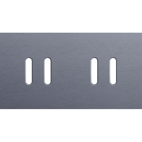 Twofold faceplate, horizontal 71 mm centre distance, for double switch image 1