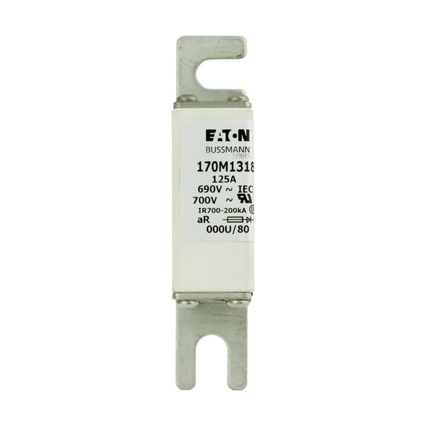 Fuse-link, high speed, 125 A, AC 690 V, DIN 000, 21 x 40 x 100 mm, aR, DIN, IEC image 12