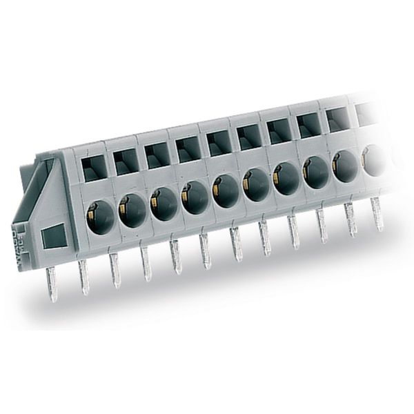 PCB terminal block 2.5 mm² Pin spacing 5 mm gray image 1