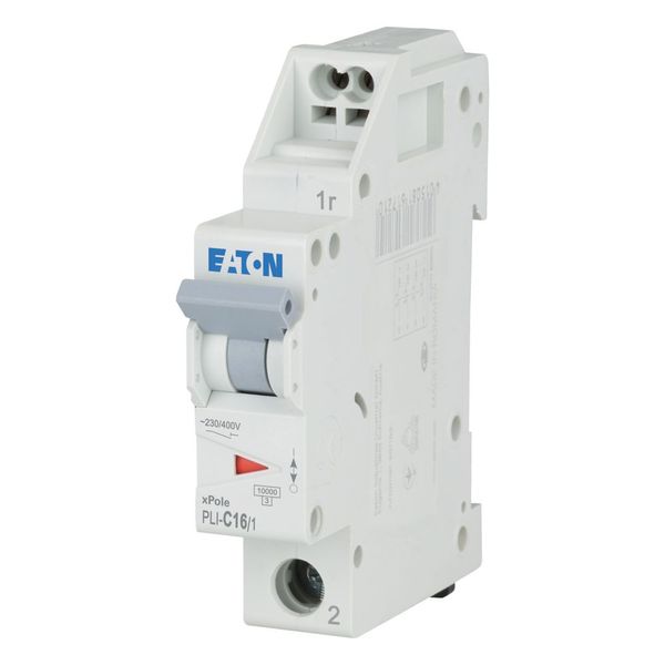 Miniature circuit breaker (MCB) with plug-in terminal, 16 A, 1p, characteristic: C image 2