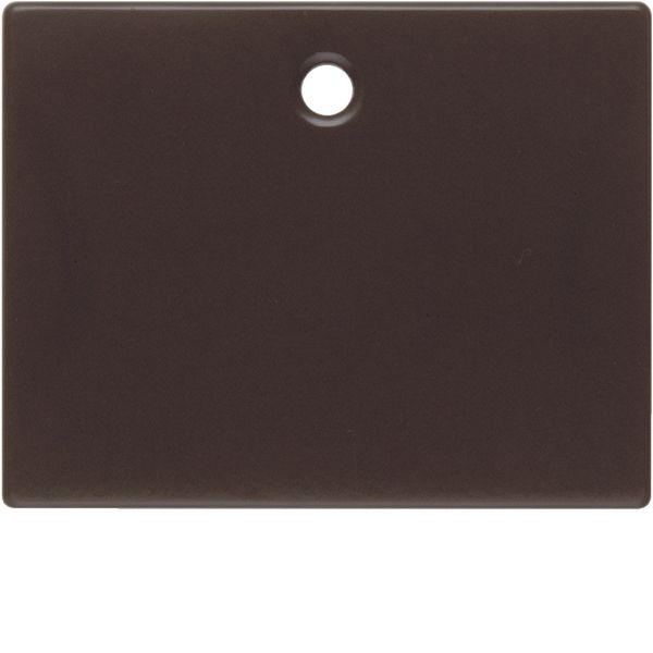 Centre plate for pullcord switch/pullcord push-button, arsys, brown gl image 2