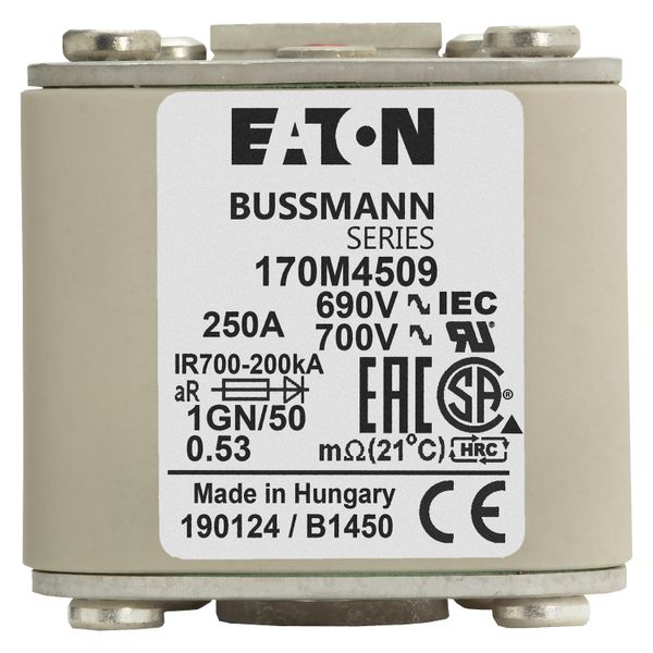 Fuse-link, high speed, 250 A, AC 690 V, size 1, 53 x 69 x 51 mm, aR, IEC, UL, single indicator, flush end, 18 UNC image 13