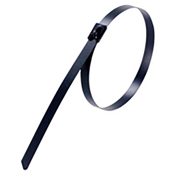 YLS-4.6-840BC CABLE TIE 100LB 33IN 316SS BLK COAT image 1