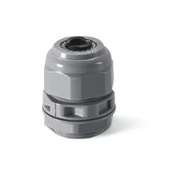 CABLE GLAND PG29  HEAVY DUTY image 1