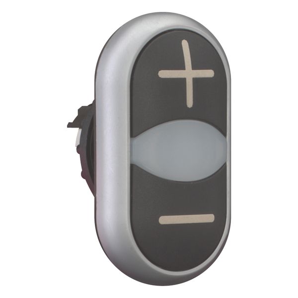 Double actuator pushbutton, RMQ-Titan, Actuators and indicator lights non-flush, momentary, White lens, black, black, inscribed, Bezel: titanium image 7