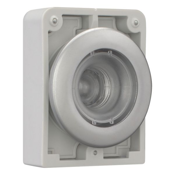 Illuminated pushbutton actuator, RMQ-Titan, Flat, momentary, Metal bezel image 12