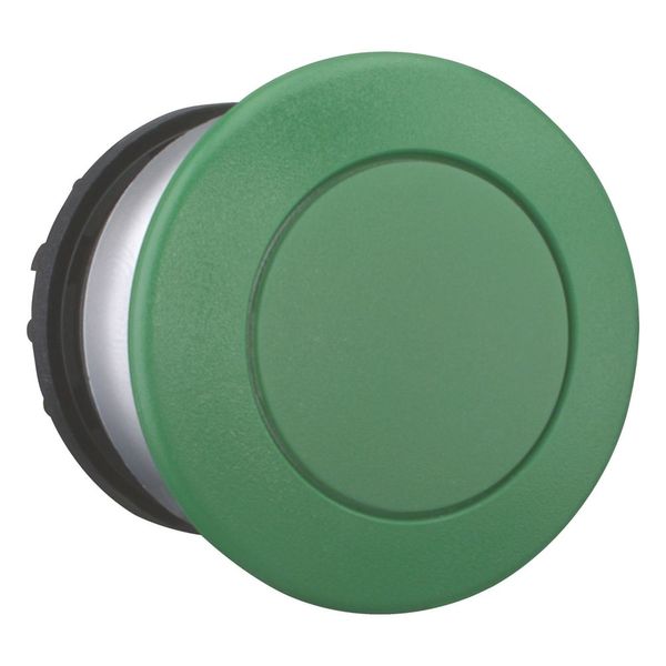 Mushroom actuator, RMQ-Titan, Mushroom, maintained, Mushroom green, green, Blank, Bezel: titanium image 13