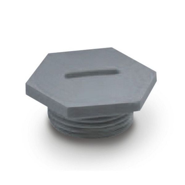 CAPS  SIB GREY M16x1.5 image 4