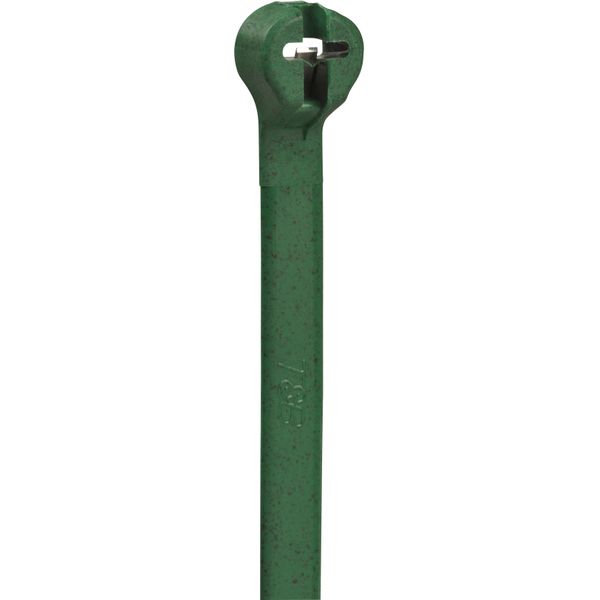 TY24M-5 CABLE TIE 40LB 5.5IN GREEN NYLON image 1