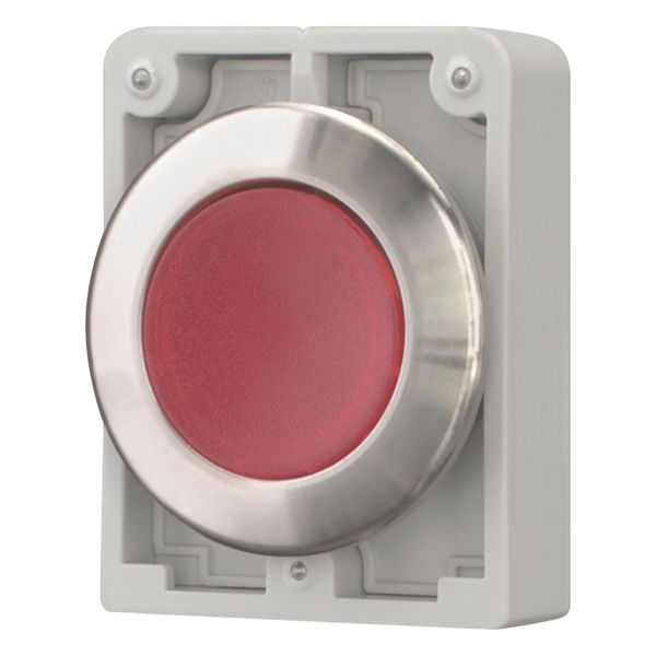 Illuminated pushbutton actuator, RMQ-Titan, flat, maintained, red, blank, Front ring stainless steel image 6