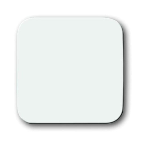 2506-214-500 CoverPlates (partly incl. Insert) carat® Alpine white image 1