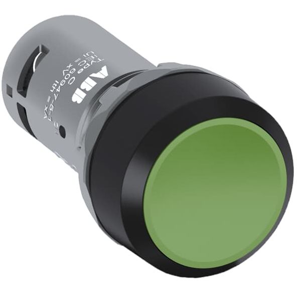 CP1-10G-11 Pushbutton image 2
