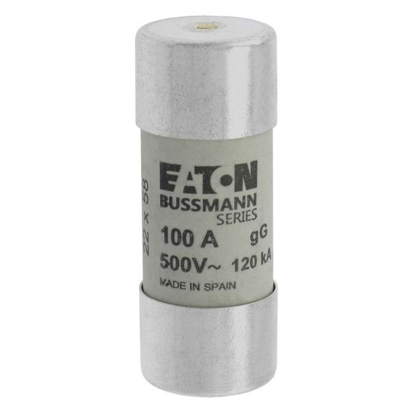 Fuse-link, LV, 100 A, AC 500 V, 22 x 58 mm, gL/gG, IEC, with striker image 10