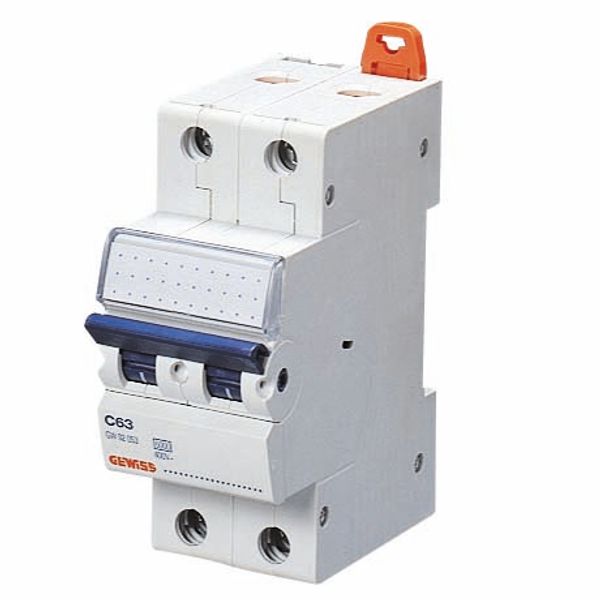 MINIATURE CIRCUIT BREAKER - MT 100- 2P CHARACTERISTIC D 25A - 2 MODULES image 2