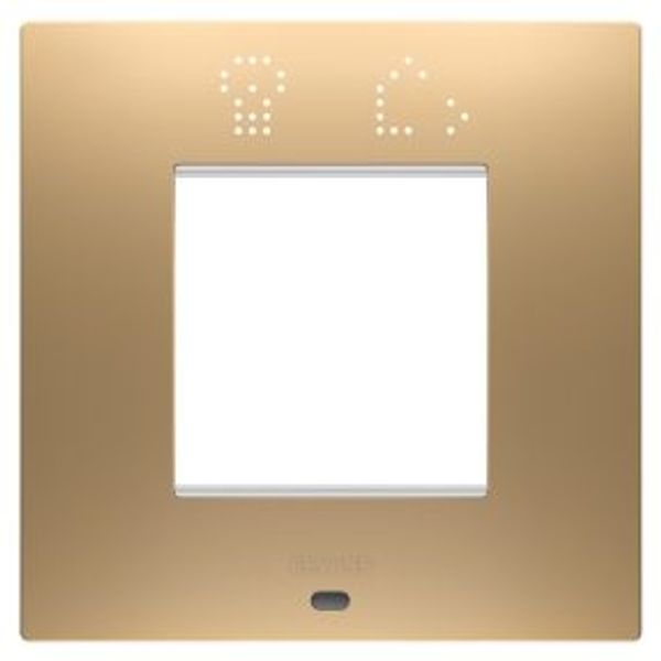 EGO SMART INTERNATIONAL PLATE - IN PAINTED TECHNOPOLYMER - 2 MODULES - GOLD - CHORUSMART image 1