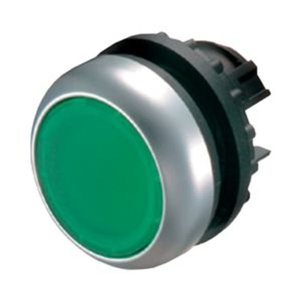 Illuminated pushbutton actuator, RMQ-Titan, Flush, maintained, green, Blank, Bezel: titanium image 1