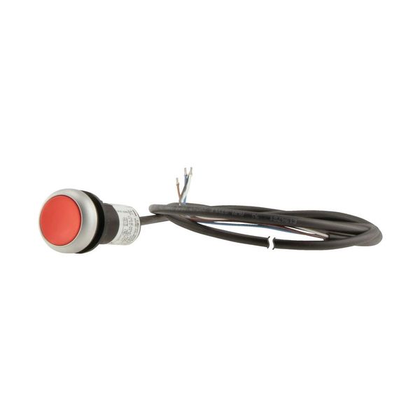 Pushbutton, classic, flat, maintained, 1 N/C, red, cable (black) with non-terminated end, 4 pole, 3.5 m image 9