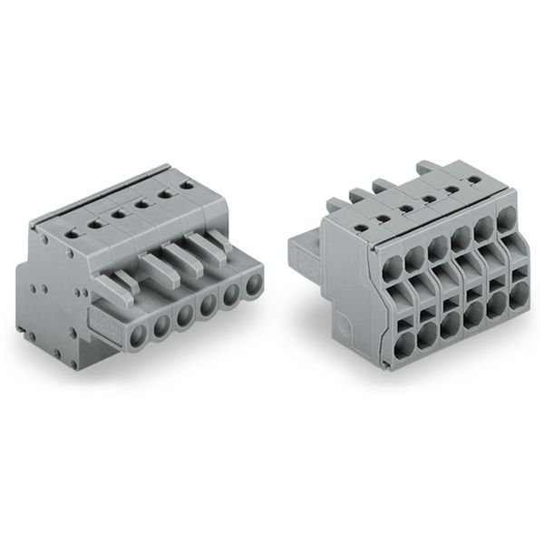 2-conductor female connector Push-in CAGE CLAMP® 2.5 mm² gray image 1