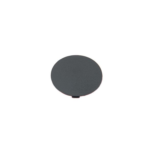 Button plate, mushroom black, blank image 5