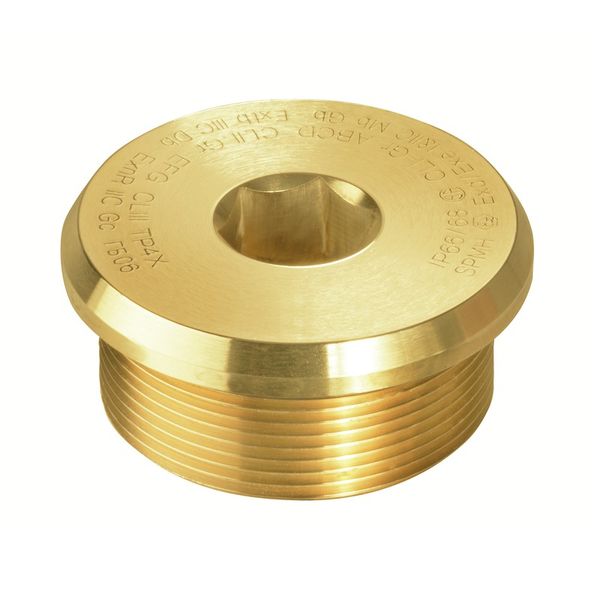 Ex sealing plugs (metal), M 63, 16 mm, Brass image 1