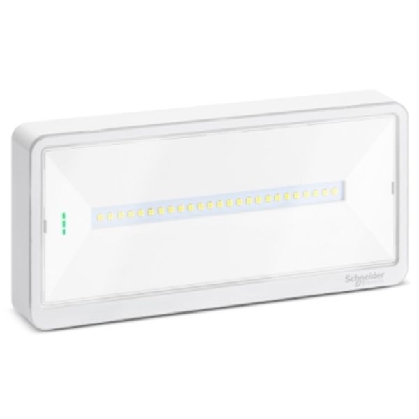 Emergency luminaire, Exiway Light, selectable duration, up to 100 lm, IP65, LED image 2