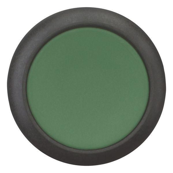 Pushbutton, Flat, momentary, 1 N/O, Screw connection, green, Blank, Bezel: black image 9