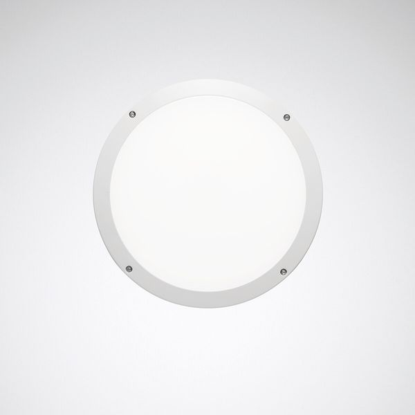 Wall and ceiling luminaire Skeo Circ Multilumencolor 4 Diffuser White ET 14W 1450lm 85 rotationally sym. wide (RB) IP65 IK10 3 SDCM image 1