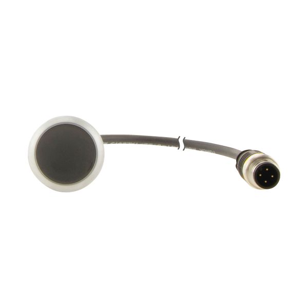 Pushbutton, Flat, momentary, 1 NC, Cable (black) with M12A plug, 4 pole, 1 m, black, Blank, Bezel: titanium image 8