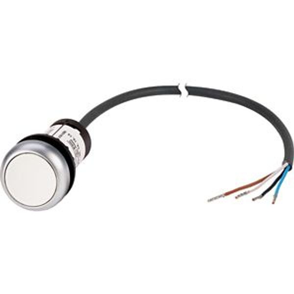 Pushbutton, classic, flat, maintained, 1 N/O, white, cable (black) with non-terminated end, 4 pole, 1 m image 5