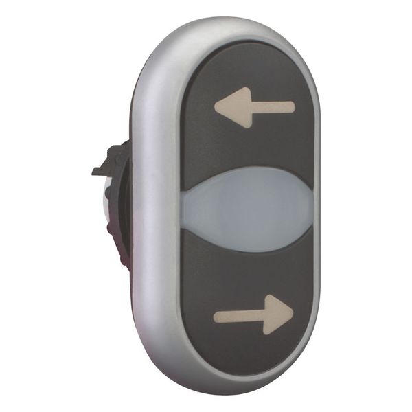 Double actuator pushbutton, RMQ-Titan, Actuators and indicator lights non-flush, momentary, White lens, black, black, inscribed, Bezel: titanium, arro image 11