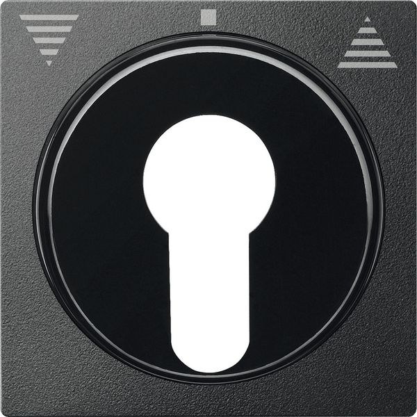 Cen.pl. f. DIN cylinder key switch insrts f. roller shut.s, anthracite, System M image 1