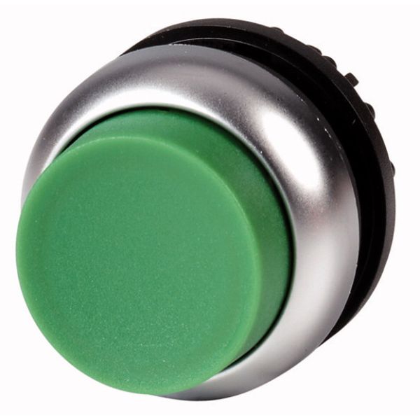 Pushbutton, RMQ-Titan, Extended, momentary, green, Blank, Bezel: titanium image 1