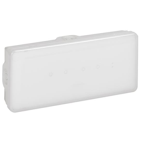 Emergency luminaire B65 - std maintained / non maintained - 200 lm - 1h - LED image 1
