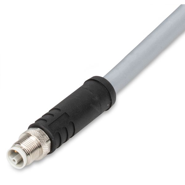Power cable M12L plug straight 5-pole image 2
