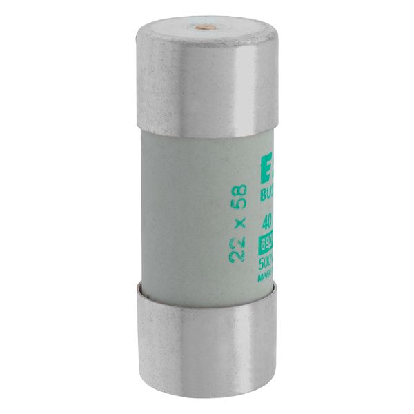 Fuse-link, LV, 40 A, AC 690 V, 22 x 58 mm, aM, IEC, with striker image 19