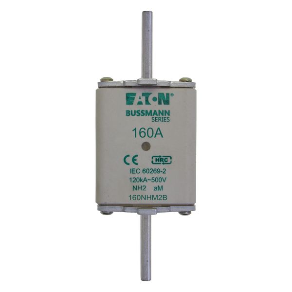 Fuse-link, low voltage, 160 A, AC 500 V, NH2, aM, IEC, dual indicator image 7