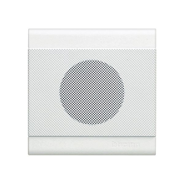 BAS indoor siren image 1