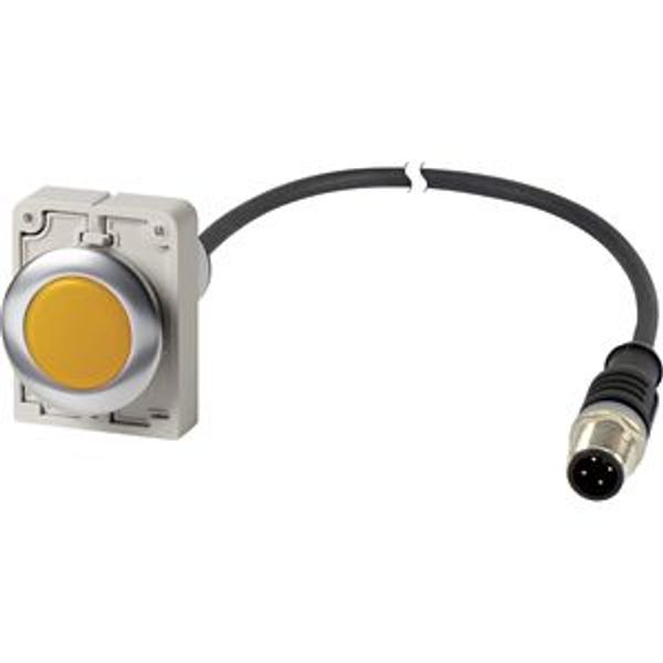 Indicator light, Flat, Cable (black) with M12A plug, 4 pole, 1 m, Lens yellow, LED white, 24 V AC/DC image 2