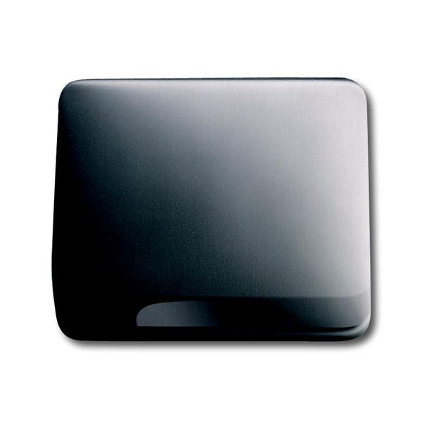 1746-20-101 CoverPlates (partly incl. Insert) carat® Platinum image 1