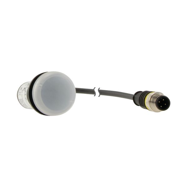 Indicator light, Flat, Cable (black) with M12A plug, 4 pole, 0.2 m, Lens white, LED white, 24 V AC/DC image 17