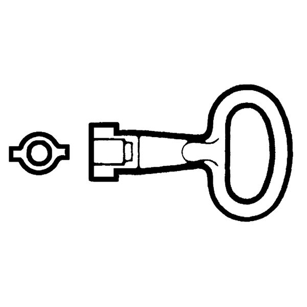Metal key for 5mm double bar insert image 1
