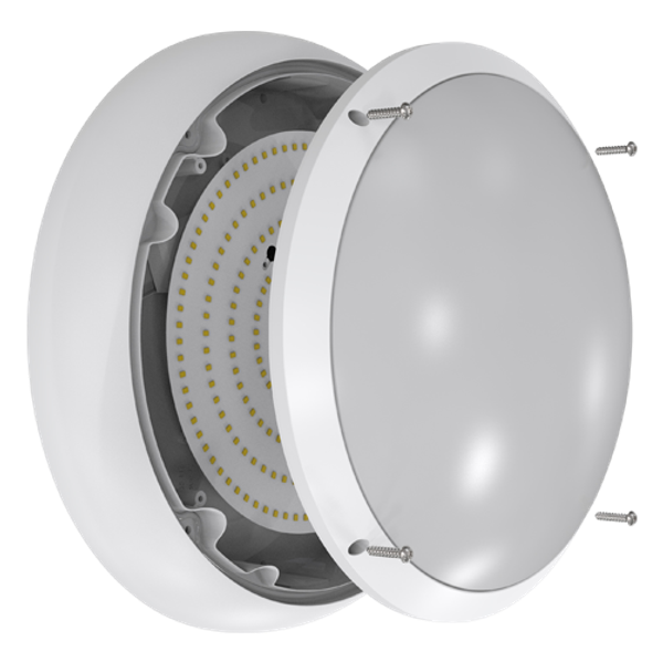 ARX Anti-Ligature Bulkhead CCT White Microwave Sensor Dim DALI-Emergen image 4