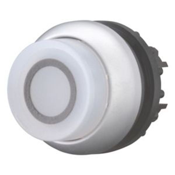 Illuminated pushbutton actuator, RMQ-Titan, Extended, momentary, White, inscribed 0, Bezel: titanium image 1