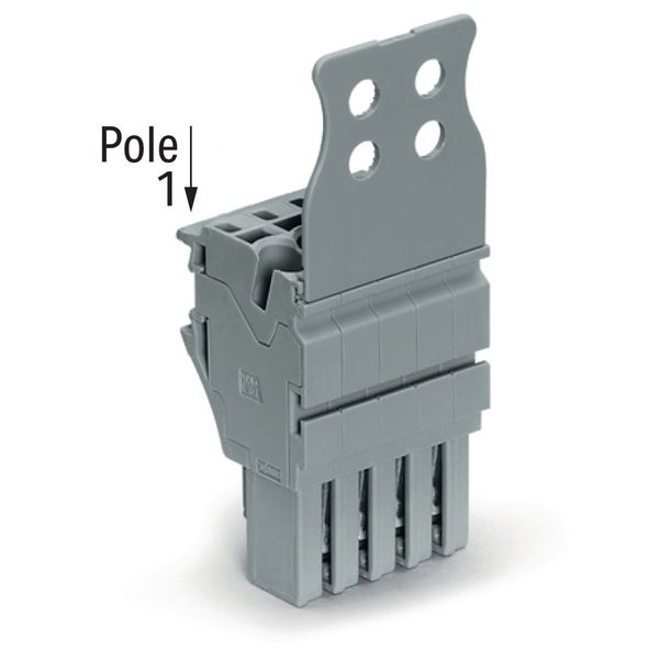 1-conductor female connector Push-in CAGE CLAMP® 4 mm² gray image 1